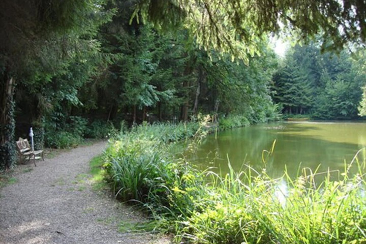 Property Grounds 27 of 31
