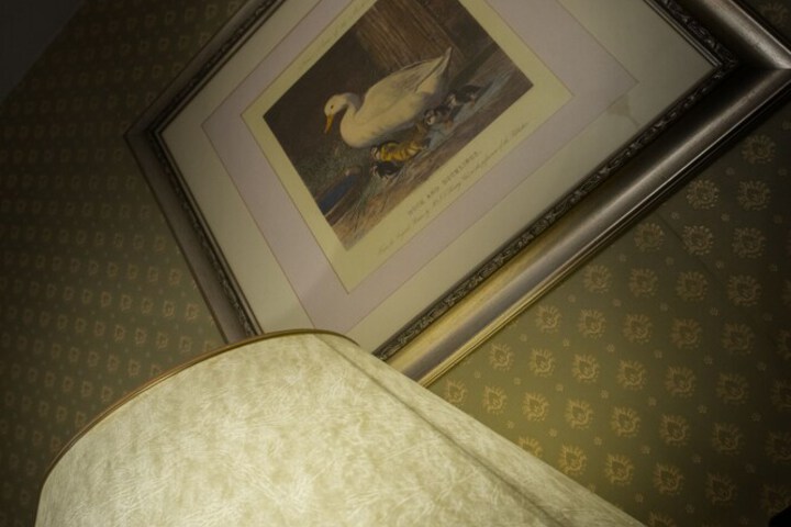 Room 4 of 42