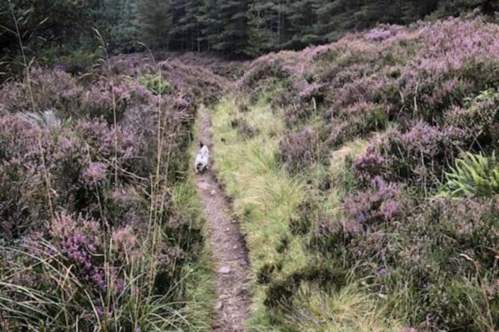 General 41 of 47