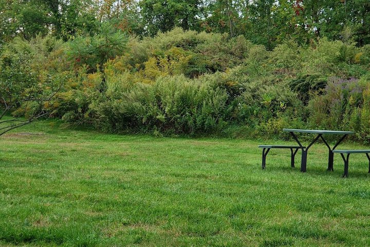 BBQ/picnic area
