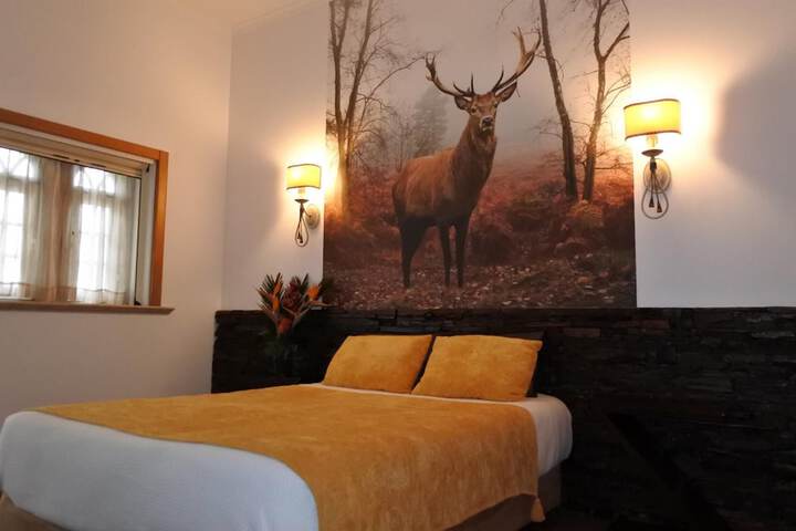Room 14 of 55