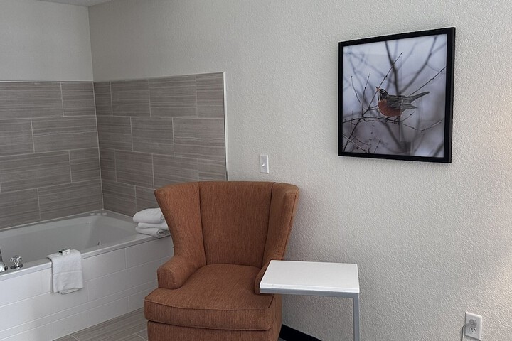 1 King Bed Mobility Accessible Bathtub with Grab Bars (7 of 14)