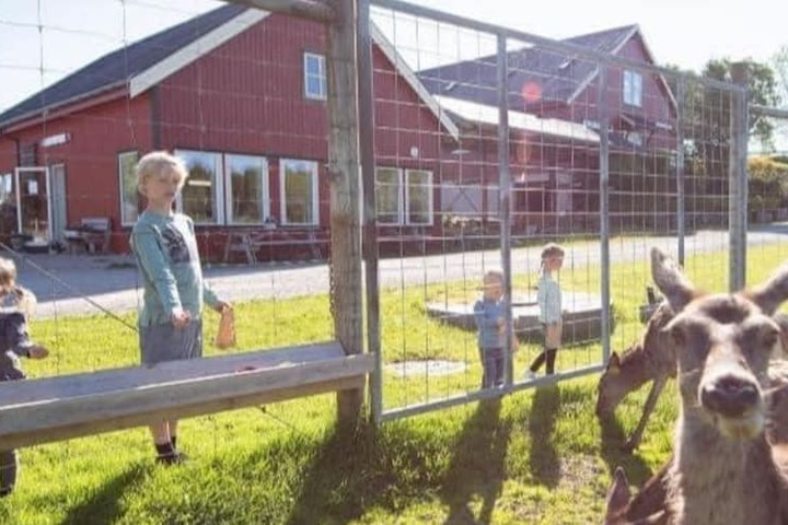 Childrens Activities 49 of 85