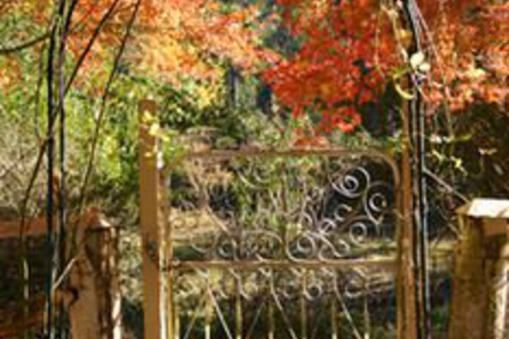 Property Grounds 23 of 27