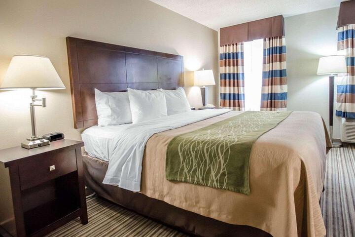 1 King Bed (3 of 7)