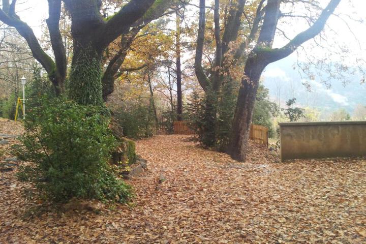 Photo 17