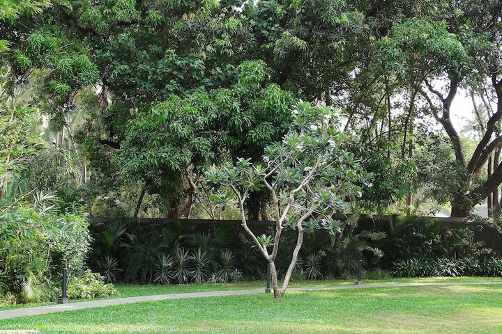 Property Grounds 29 of 38