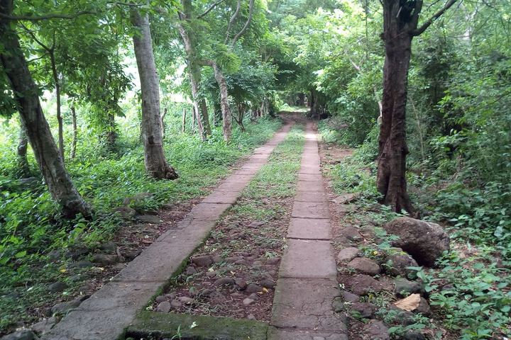 Eco Lodge El Porvenir in Altagracia