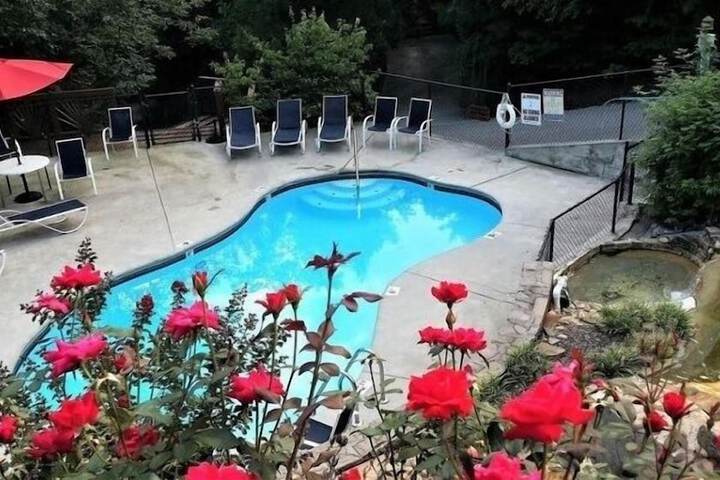 Pool 28 of 40