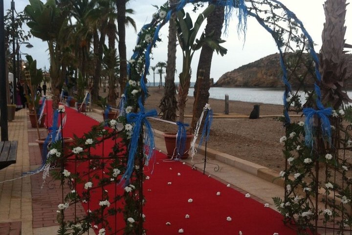 Outdoor wedding area