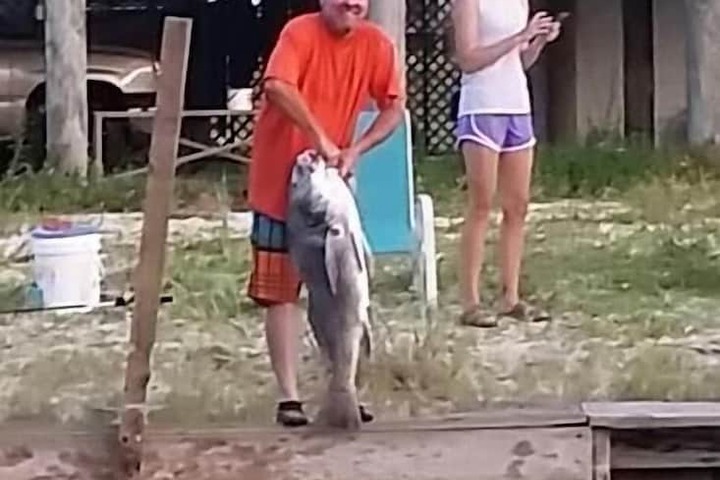 Property Grounds 69 of 91