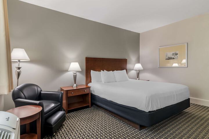 1 King Bed (22 of 24)