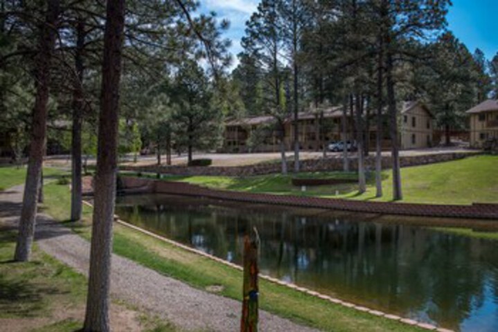 Property Grounds 19 of 28