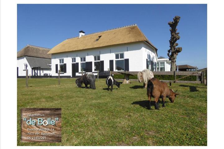 Vakantiehuis 'De Bolle''