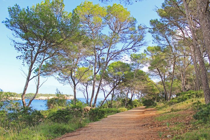 Hiking