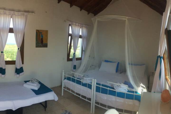 Room 2 of 44