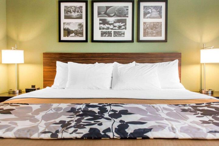 1 Queen Bed Accessible (1 of 11)