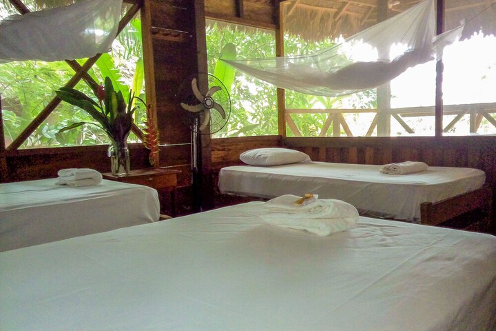 Room 4 of 53