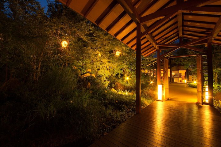 Wellness Treatments
