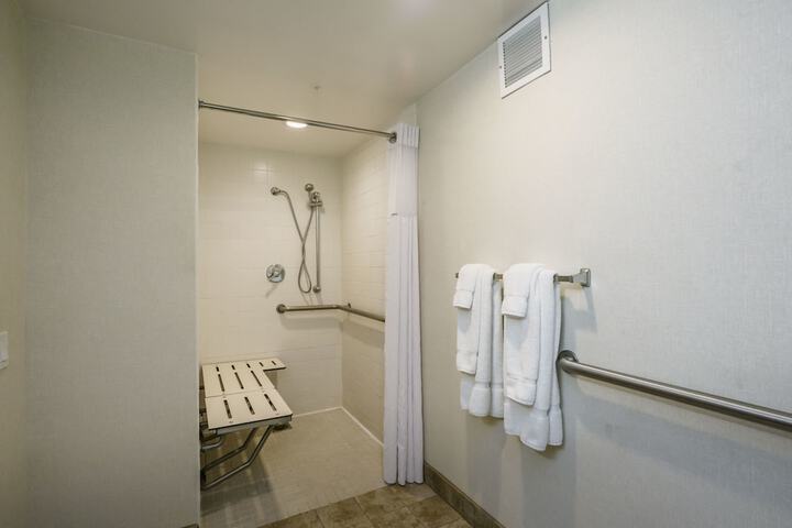 1 Queen Bed Mobility Accessible Bathtub Grab Bars (11 of 17)