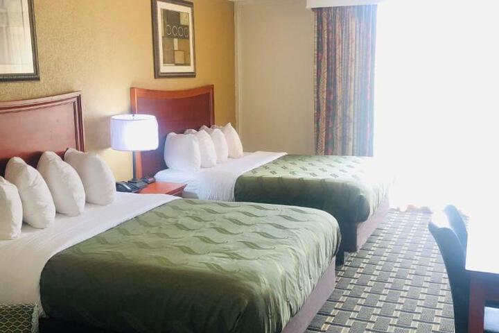 2 Queen Beds (12 of 35)