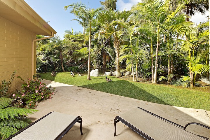 Garden view