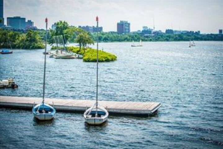 Property Grounds 11 of 55