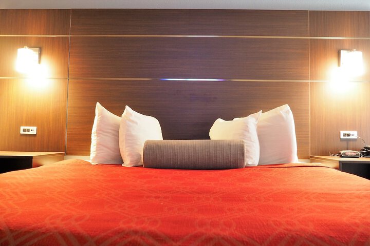 1 King Bed Accessible (11 of 23)