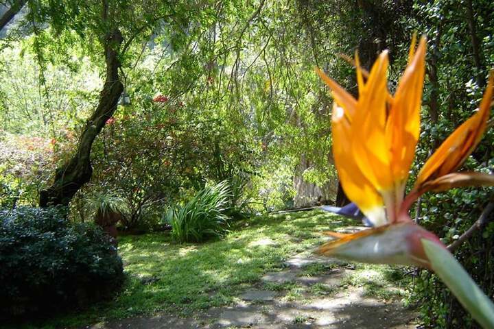 Property Grounds 27 of 29