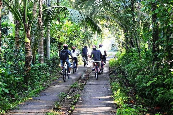 Bicycling