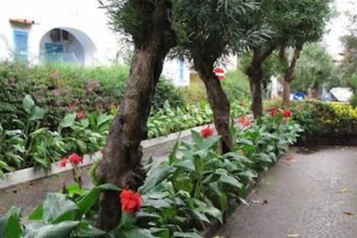 Spa and Wellness Pictures