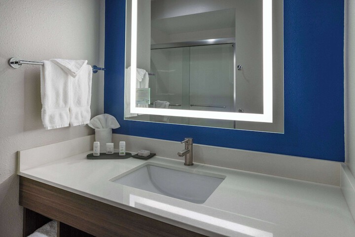 1 King Bed Mobility Hearing Accessible Room Roll in Shower (19 of 26)