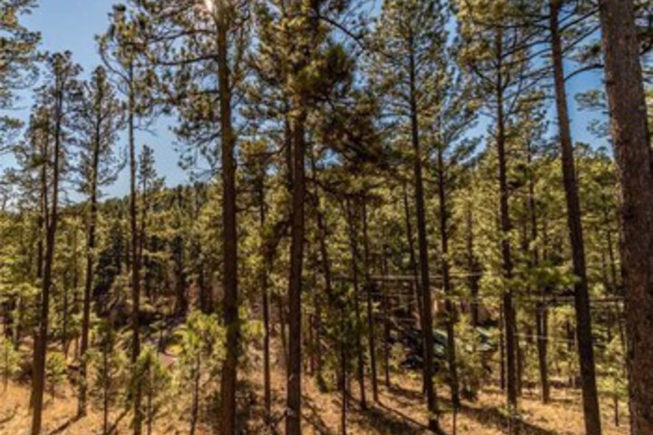 Property Grounds 39 of 52