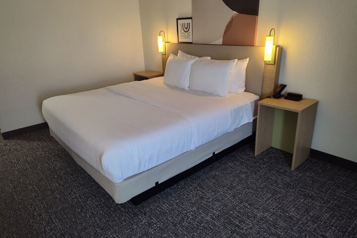 1 King Bed (26 of 31)