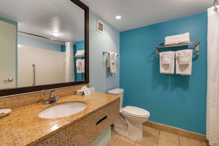 Accessible 1 King Accessible Roll in Shower Sofa Bed Full Breakfast (9 of 26)