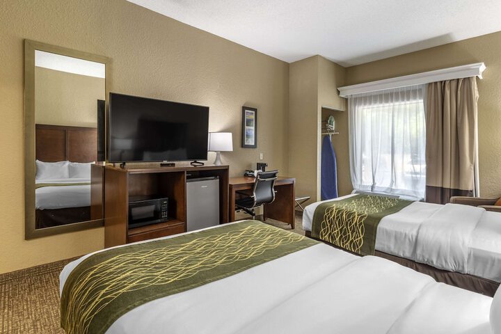 2 Queen Beds (3 of 5)