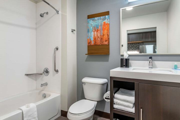 1 King Bed Efficiency Suite (3 of 9)