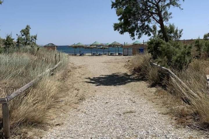 Beach 17 of 20