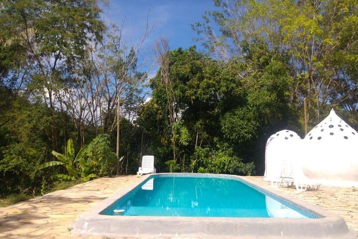 Pool 37 of 66