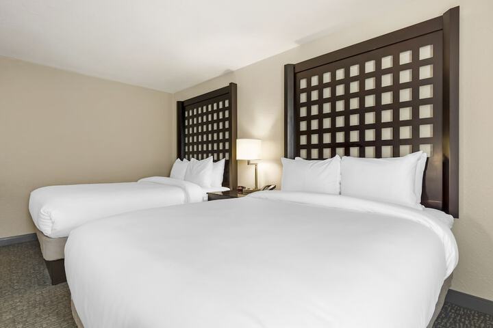 2 Queen Beds (5 of 8)