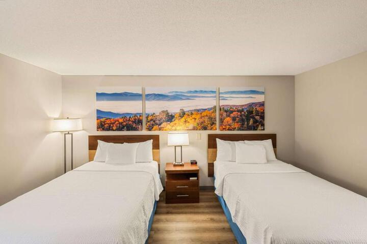 Standard Room, King or Two Doubles (5 of 7)