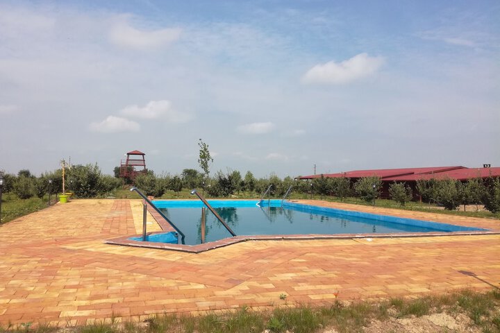 Pool 19 of 52