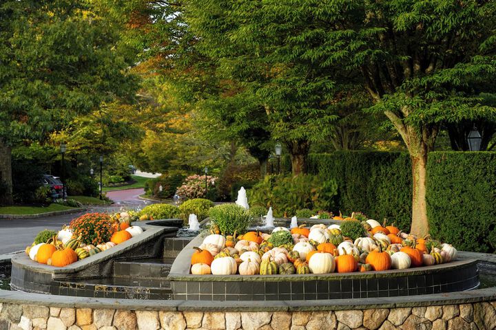 Fountain