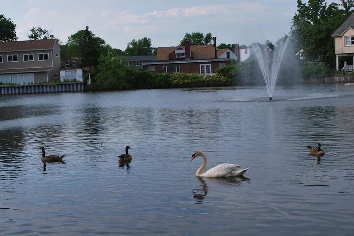 Property Grounds 12 of 14