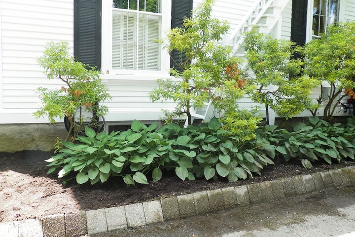 Property Grounds 83 of 102