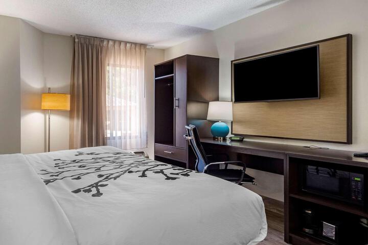 1 King Bed Accessible (3 of 8)