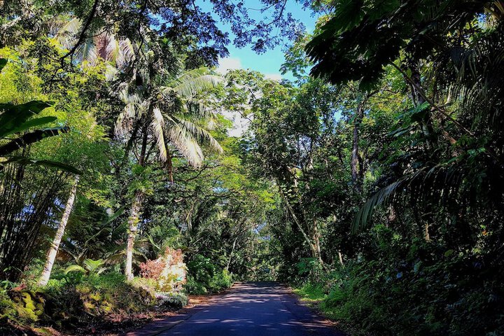 Property Grounds 31 of 42