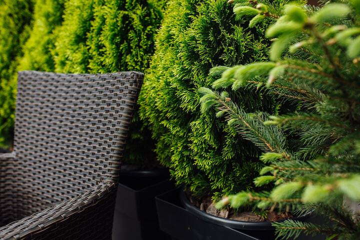 Terrace/Patio 81 of 87