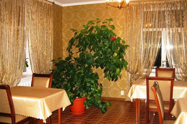 Dining 8 of 9