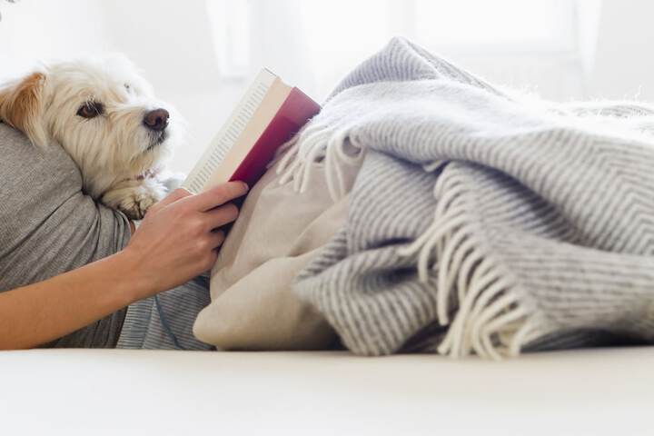Pet-friendly